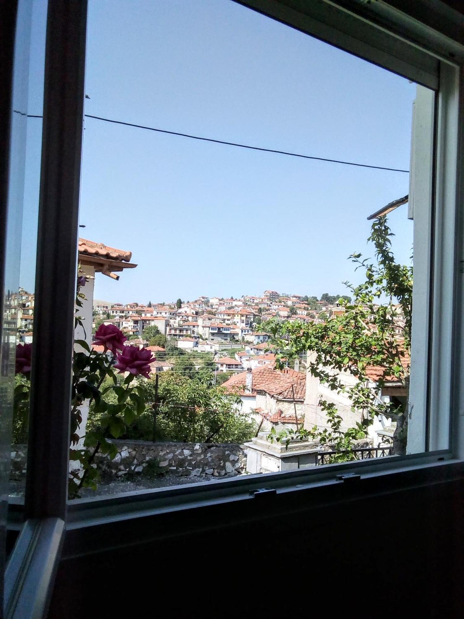 Tanias Apartment Σιάτιστα Εξωτερικό φωτογραφία
