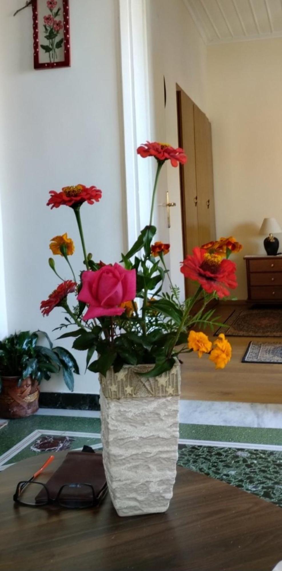 Tanias Apartment Σιάτιστα Εξωτερικό φωτογραφία